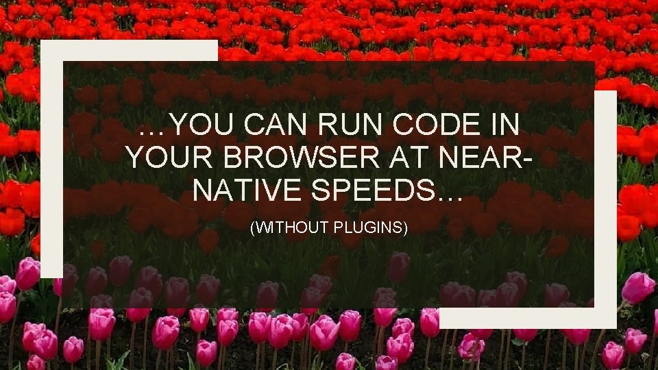 …YOU CAN RUN CODE IN YOUR BROWSER AT NEARNATIVE SPEEDS… (WITHOUT PLUGINS) 