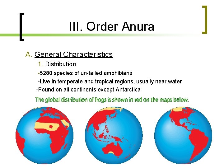 III. Order Anura A. General Characteristics 1. Distribution -5280 species of un-tailed amphibians -Live