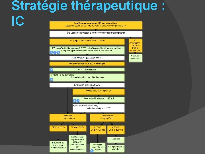 Stratégie thérapeutique : IC 