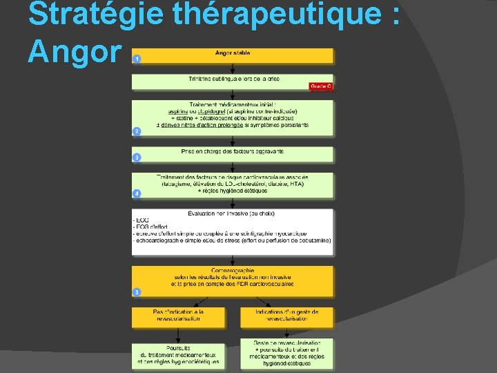 Stratégie thérapeutique : Angor 