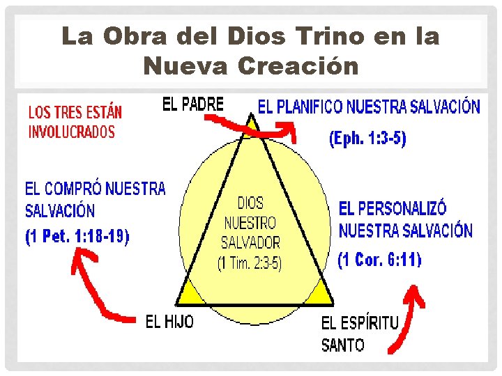 La Obra del Dios Trino en la Nueva Creación 