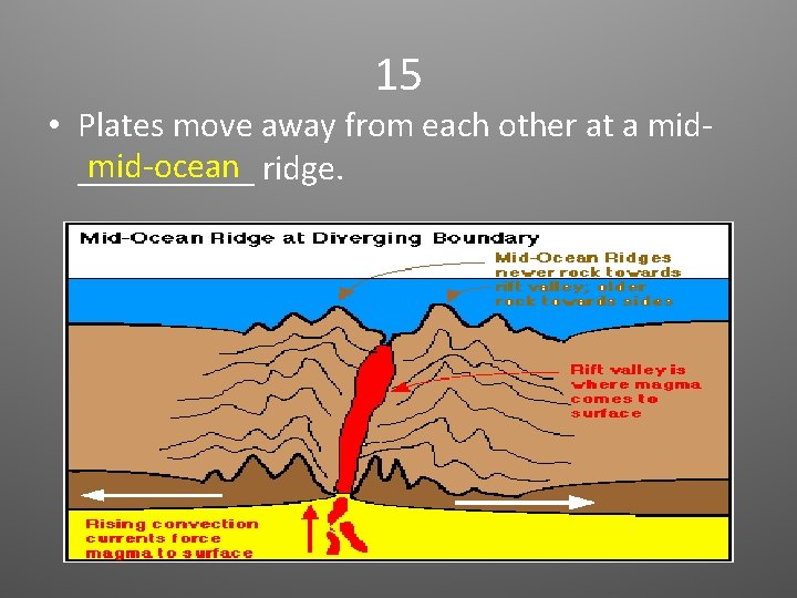 15 • Plates move away from each other at a midmid-ocean ridge. _____ 