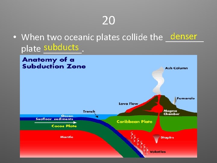 20 denser • When two oceanic plates collide the ____ subducts plate ____. 