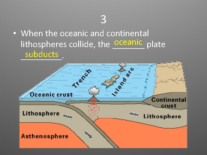 3 • When the oceanic and continental oceanic plate lithospheres collide, the _______ subducts