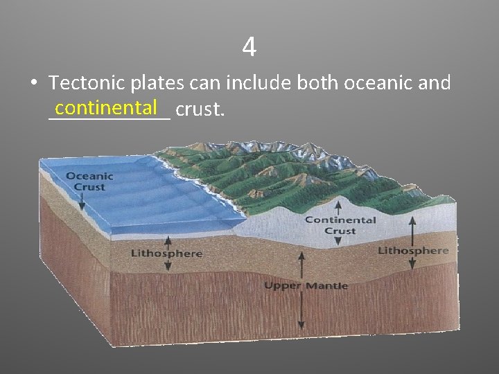 4 • Tectonic plates can include both oceanic and continental crust. ______ 