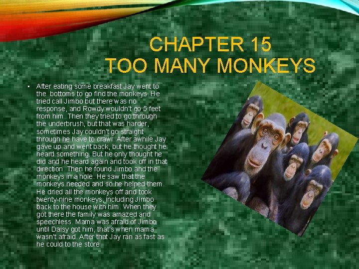 CHAPTER 15 TOO MANY MONKEYS • After eating some breakfast Jay went to the
