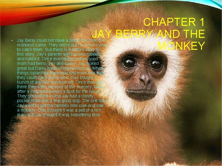 CHAPTER 1 JAY BERRY AND THE MONKEY • Jay Berry could not have a