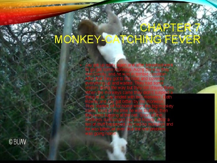 CHAPTER 7 MONKEY-CATCHING FEVER • Jay got up early again and after breakfast went