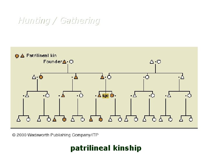 Hunting / Gathering patrilineal kinship 