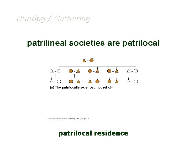 Hunting / Gathering patrilineal societies are patrilocal residence 
