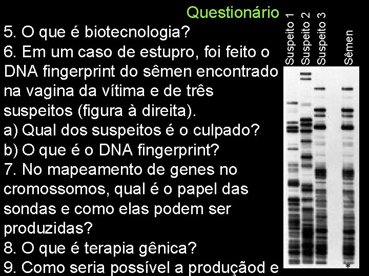 Sêmen Suspeito 1 Suspeito 2 Suspeito 3 Questionário 5. O que é biotecnologia? 6.