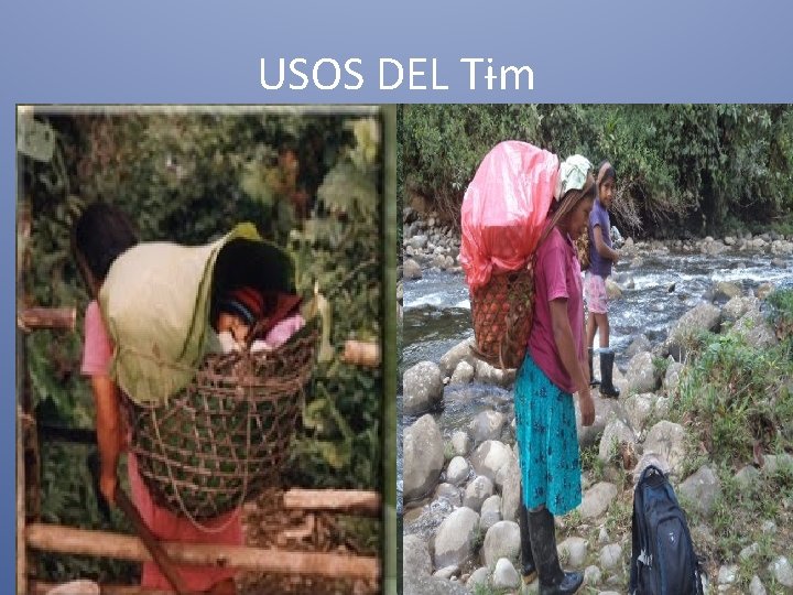 USOS DEL Tɨm 