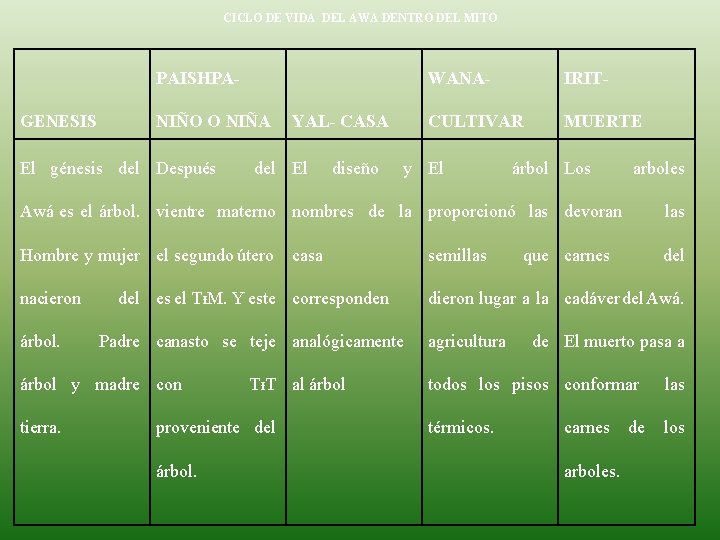 CICLO DE VIDA DEL AWA DENTRO DEL MITO PAISHPAGENESIS NIÑO O NIÑA El génesis