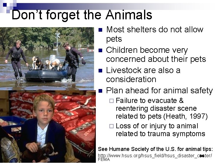 Don’t forget the Animals n n Most shelters do not allow pets Children become