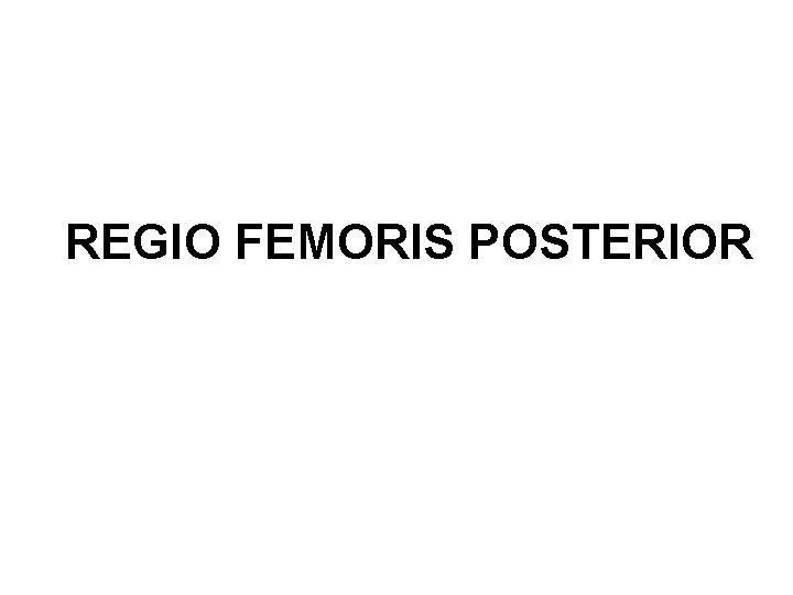 REGIO FEMORIS POSTERIOR 