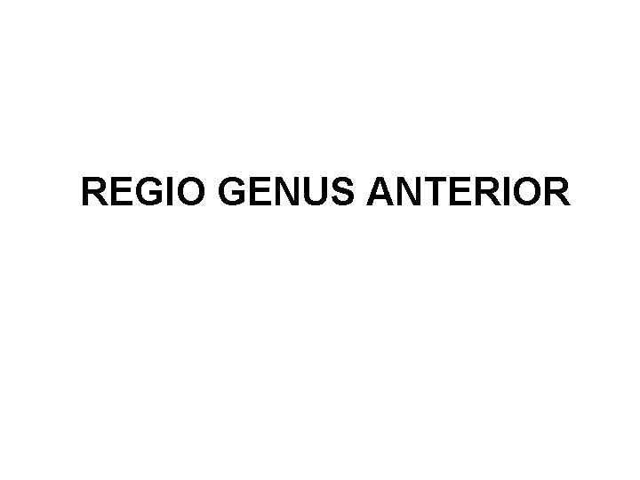 REGIO GENUS ANTERIOR 
