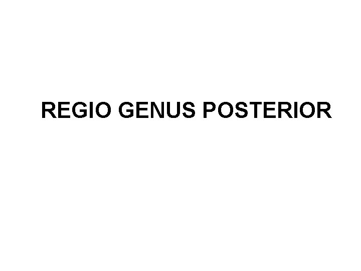 REGIO GENUS POSTERIOR 