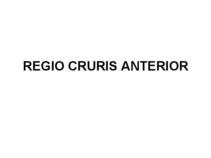 REGIO CRURIS ANTERIOR 