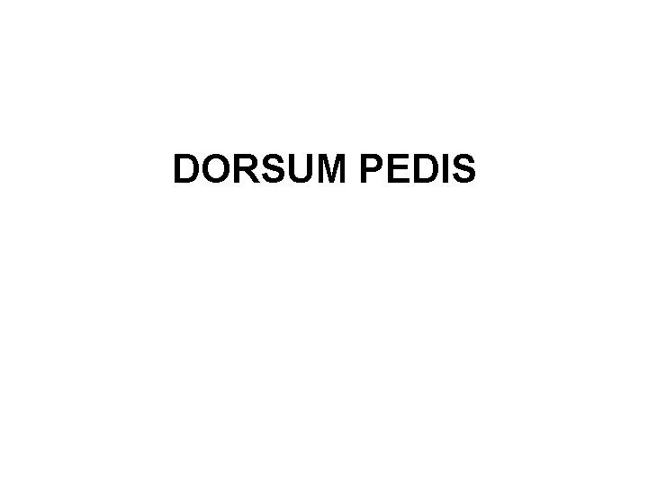 DORSUM PEDIS 