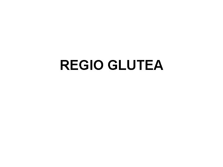 REGIO GLUTEA 