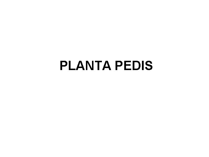 PLANTA PEDIS 