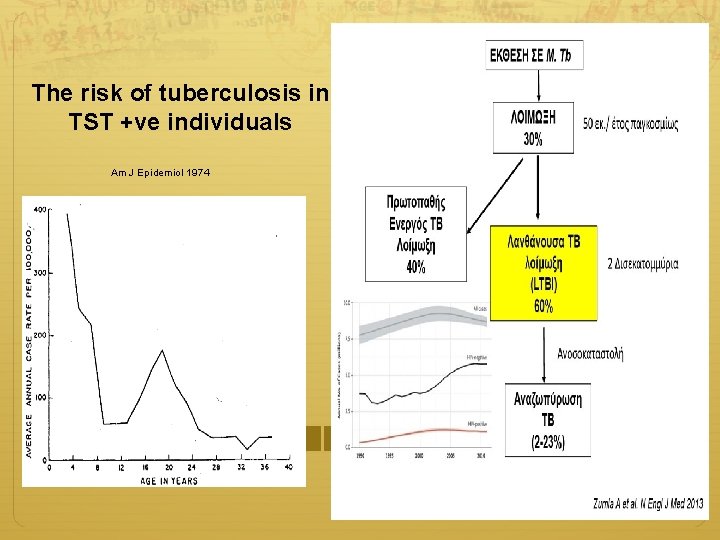 The risk of tuberculosis in TST +ve individuals Am J Epidemiol 1974 