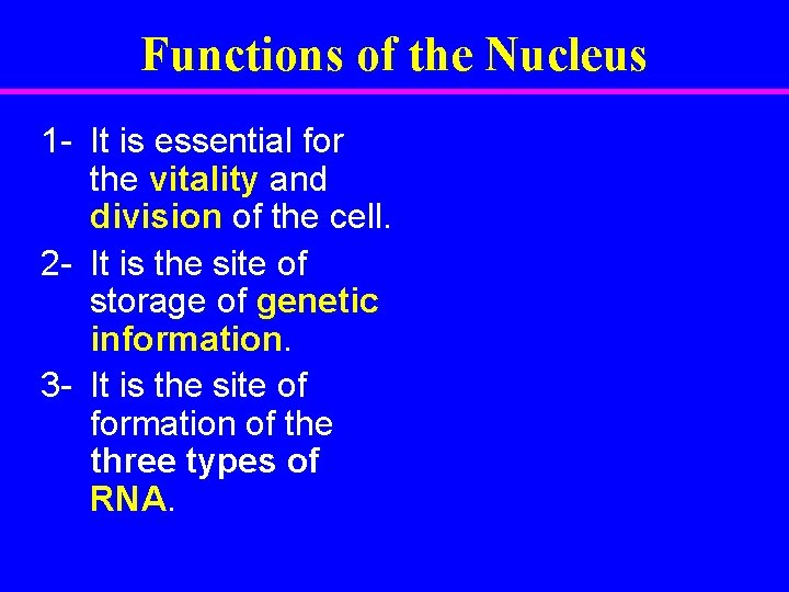 Functions of the Nucleus 1 - It is essential for the vitality and division