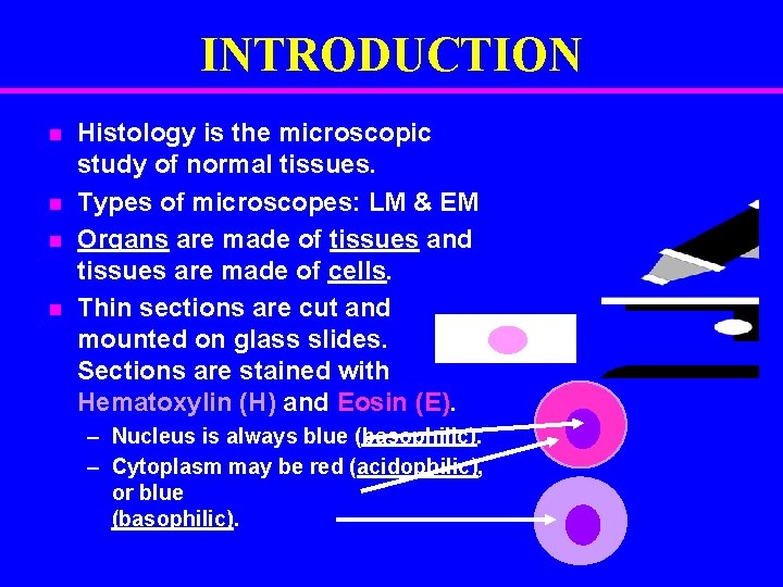 INTRODUCTION n n Histology is the microscopic study of normal tissues. Types of microscopes: