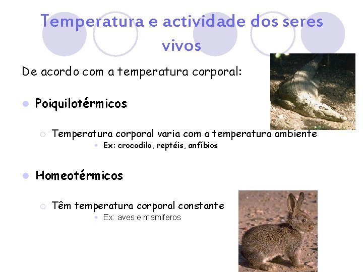 Temperatura e actividade dos seres vivos De acordo com a temperatura corporal: l Poiquilotérmicos