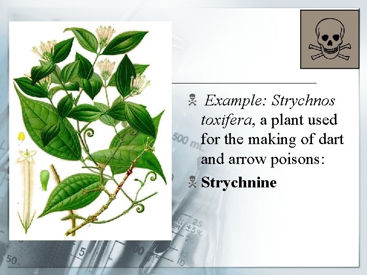 N Example: Strychnos toxifera, a plant used for the making of dart and arrow