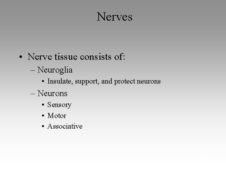 Nerves • Nerve tissue consists of: – Neuroglia • Insulate, support, and protect neurons