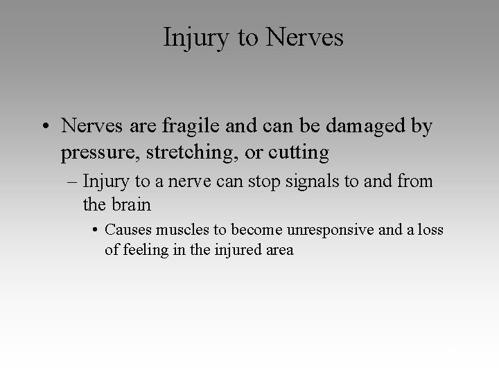 Injury to Nerves • Nerves are fragile and can be damaged by pressure, stretching,