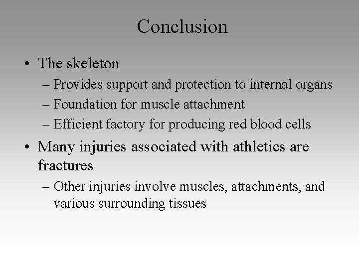 Conclusion • The skeleton – Provides support and protection to internal organs – Foundation