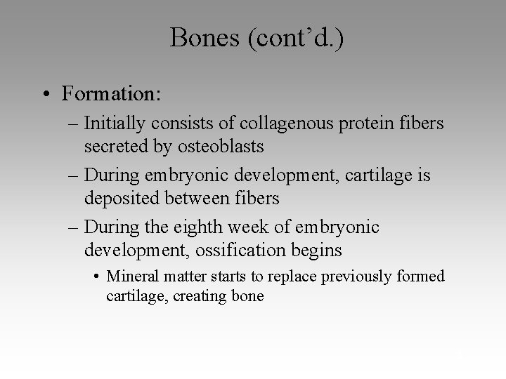 Bones (cont’d. ) • Formation: – Initially consists of collagenous protein fibers secreted by