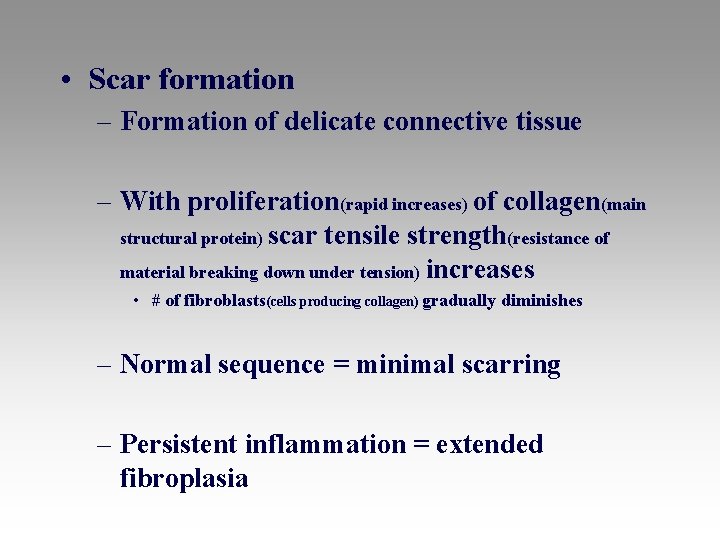  • Scar formation – Formation of delicate connective tissue – With proliferation(rapid increases)