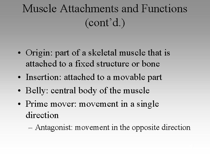 Muscle Attachments and Functions (cont’d. ) • Origin: part of a skeletal muscle that