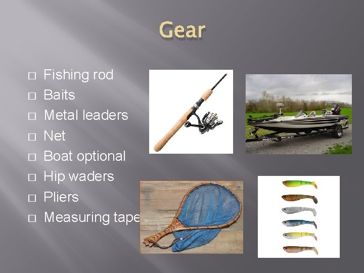 Gear � � � � Fishing rod Baits Metal leaders Net Boat optional Hip