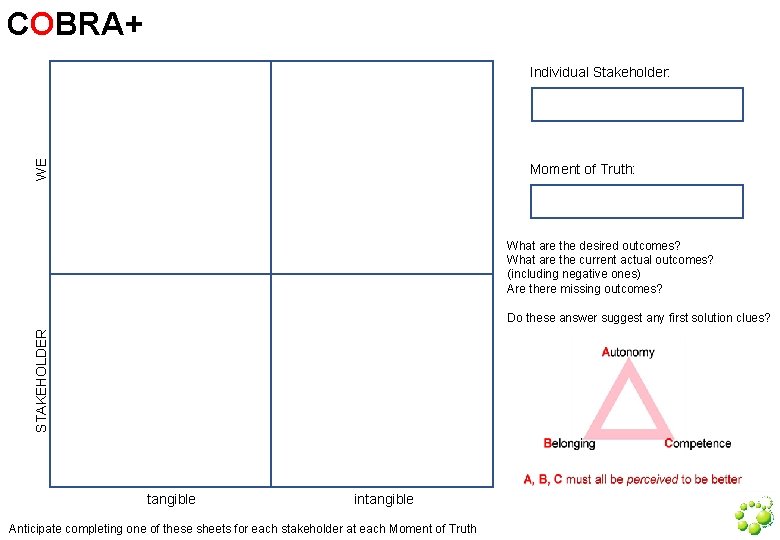 COBRA+ WE Individual Stakeholder: Moment of Truth: What are the desired outcomes? What are