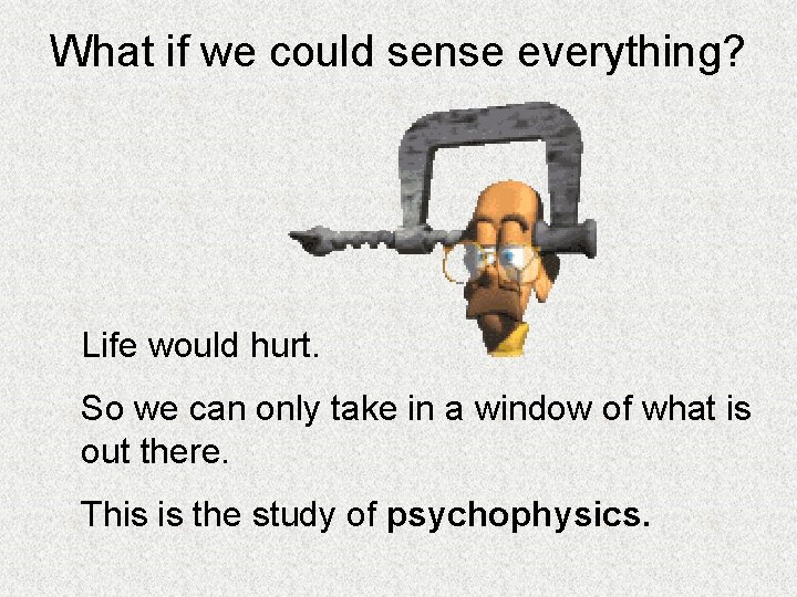 What if we could sense everything? Life would hurt. So we can only take