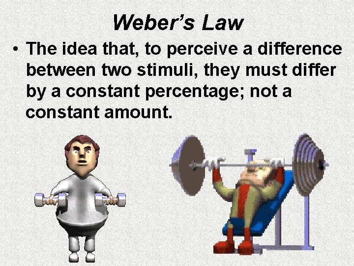 Weber’s Law • The idea that, to perceive a difference between two stimuli, they