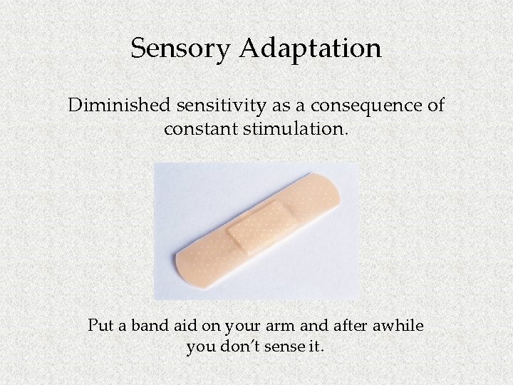 Sensory Adaptation Diminished sensitivity as a consequence of constant stimulation. Put a band aid