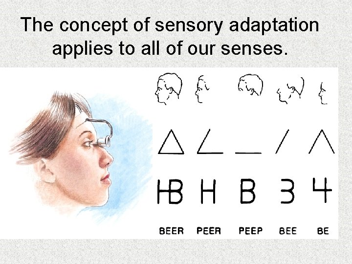 The concept of sensory adaptation applies to all of our senses. 