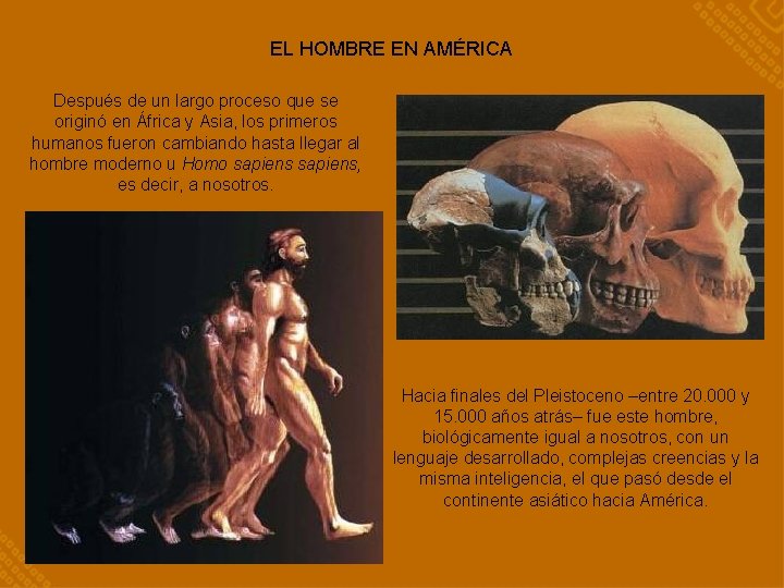 EL HOMBRE EN AMÉRICA Después de un largo proceso que se originó en África