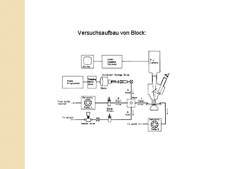 Versuchsaufbau von Block: 