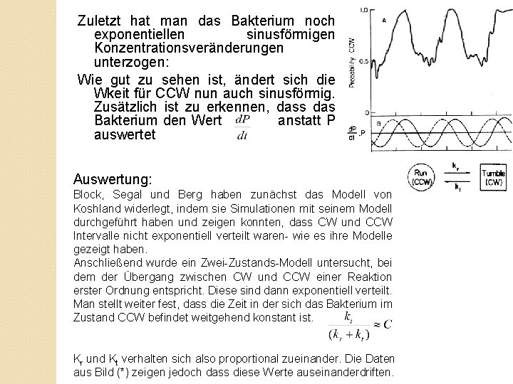 Zuletzt hat man das Bakterium noch exponentiellen sinusförmigen Konzentrationsveränderungen unterzogen: Wie gut zu sehen