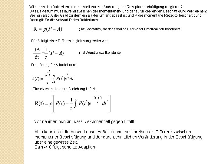 Wie kann das Bakterium also proportional zur Änderung der Rezeptorbeschäftigung reagieren? Das Bakterium muss