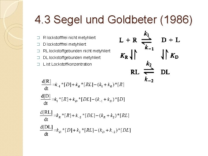 4. 3 Segel und Goldbeter (1986) � R lockstofffrei nicht metyhliert � D lockstofffrei