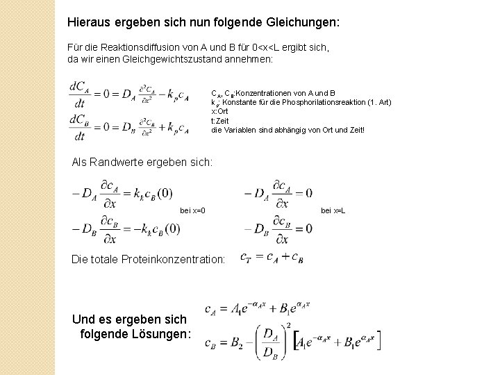 Hieraus ergeben sich nun folgende Gleichungen: Für die Reaktionsdiffusion von A und B für