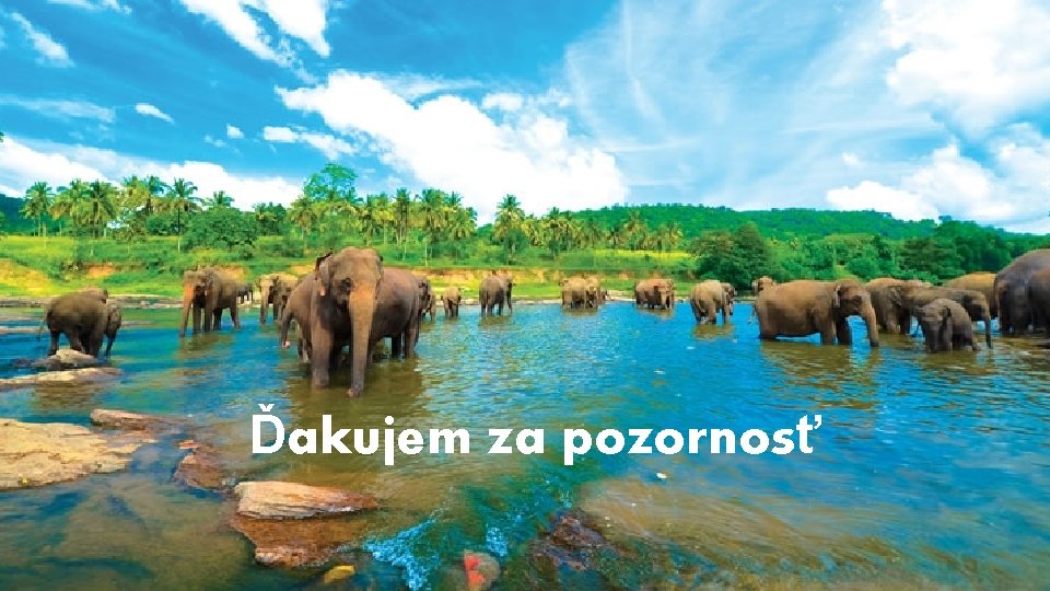 Ďakujem za pozornosť 