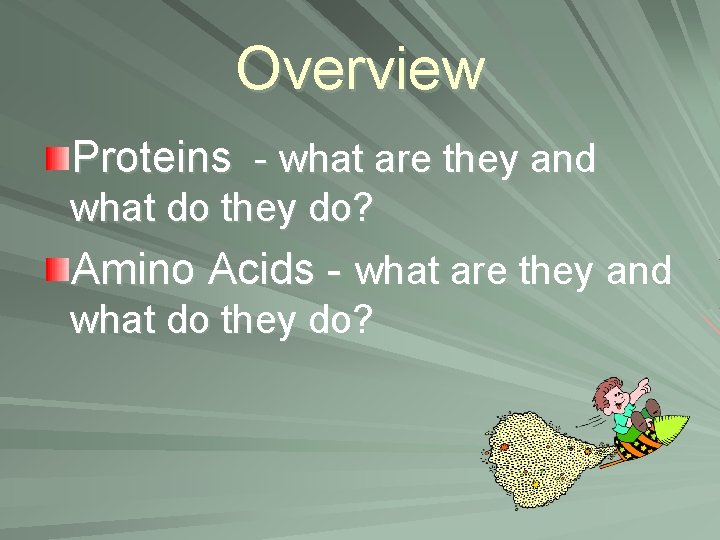 Overview Proteins - what are they and what do they do? Amino Acids -